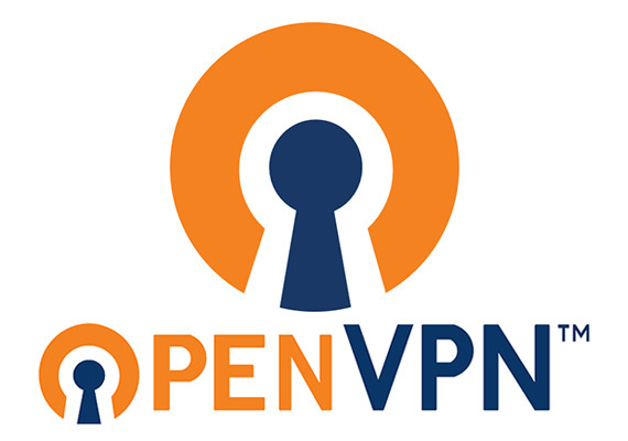 OpenVPN è lo standard industriale quando si parla di VPN. Il suo
                    utilizzo varia dal connettere diversi uffici al garantire ai lavoratori
                    remoti di accedere alle risorse private della propria azienda.<br />
                    Come principali contributori del progetto, siamo alla costante ricerca 
                    di opportunitá per migliorarne le prestazioni ed estenderne le
                    funzionalità. Contattateci se siete interessati a
                    funzionalità ad-hoc sia per OpenVPN 2.x che per 3.x.